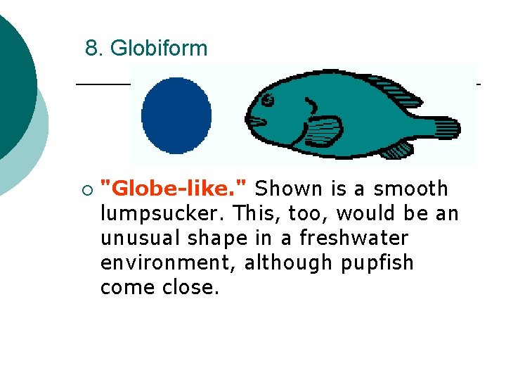 8. Globiform ¡ "Globe-like. " Shown is a smooth lumpsucker. This, too, would be