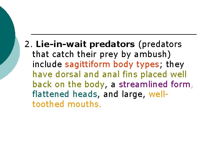 2. Lie-in-wait predators (predators that catch their prey by ambush) include sagittiform body types;