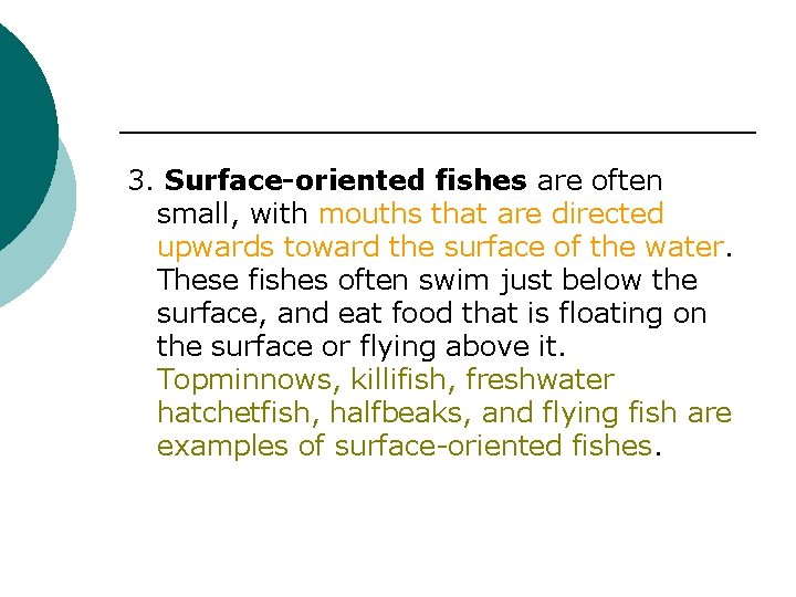 3. Surface-oriented fishes are often small, with mouths that are directed upwards toward the
