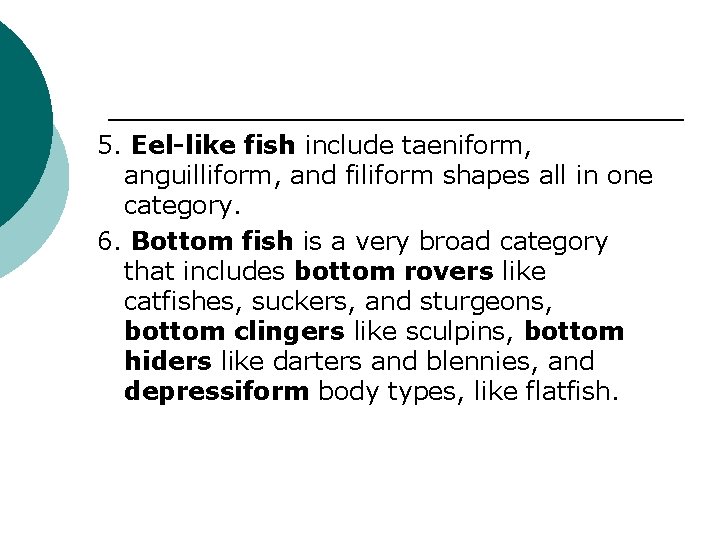 5. Eel-like fish include taeniform, anguilliform, and filiform shapes all in one category. 6.