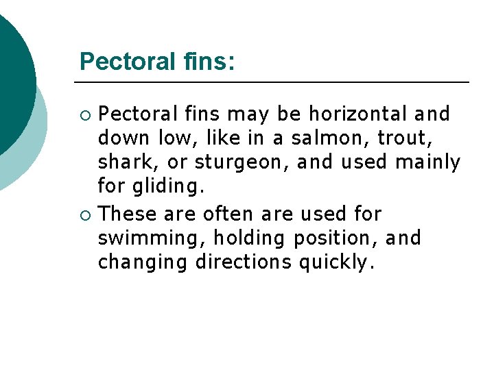 Pectoral fins: Pectoral fins may be horizontal and down low, like in a salmon,