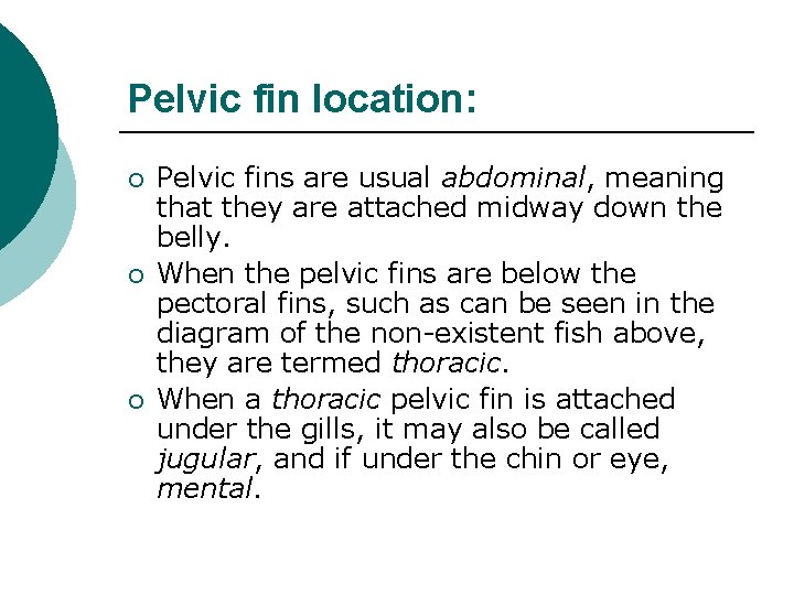 Pelvic fin location: ¡ ¡ ¡ Pelvic fins are usual abdominal, meaning that they