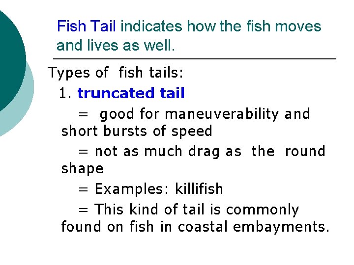 Fish Tail indicates how the fish moves and lives as well. Types of fish