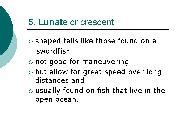 5. Lunate or crescent shaped tails like those found on a swordfish ¡ not