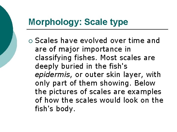 Morphology: Scale type ¡ Scales have evolved over time and are of major importance