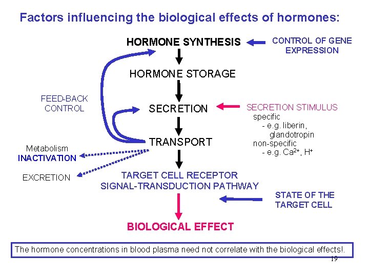 Factors influencing the biological effects of hormones: CONTROL OF GENE EXPRESSION HORMONE SYNTHESIS HORMONE