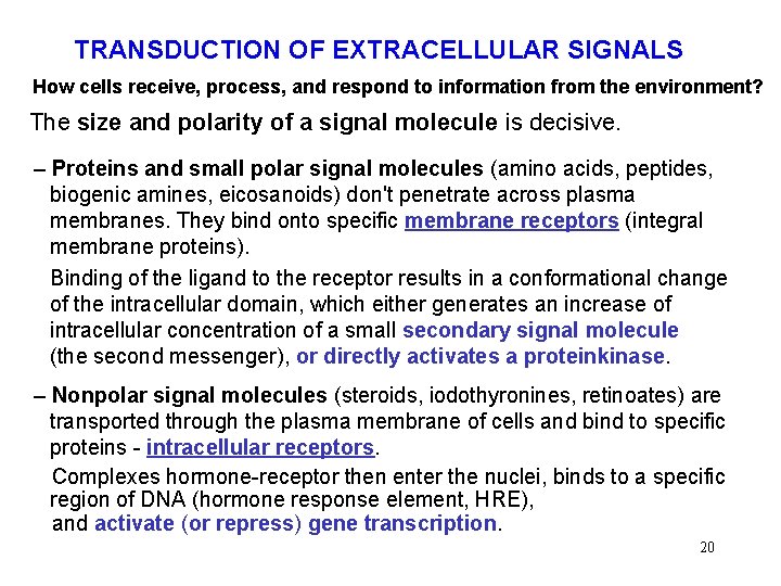 TRANSDUCTION OF EXTRACELLULAR SIGNALS How cells receive, process, and respond to information from the
