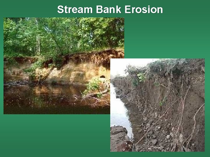 Stream Bank Erosion 