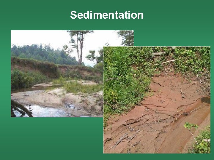 Sedimentation 