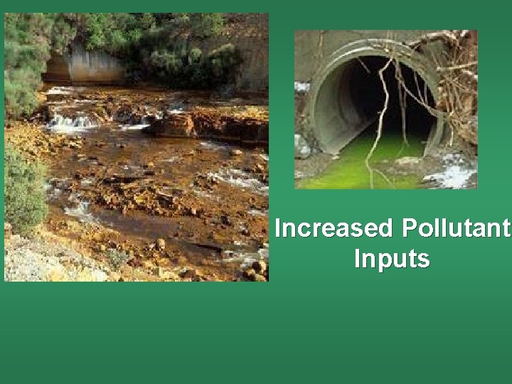 Increased Pollutant Inputs 