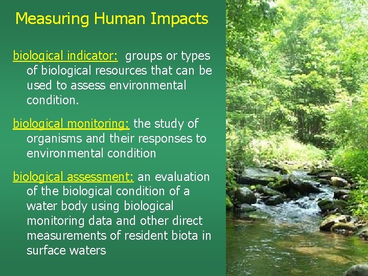 Measuring Human Impacts biological indicator: groups or types of biological resources that can be