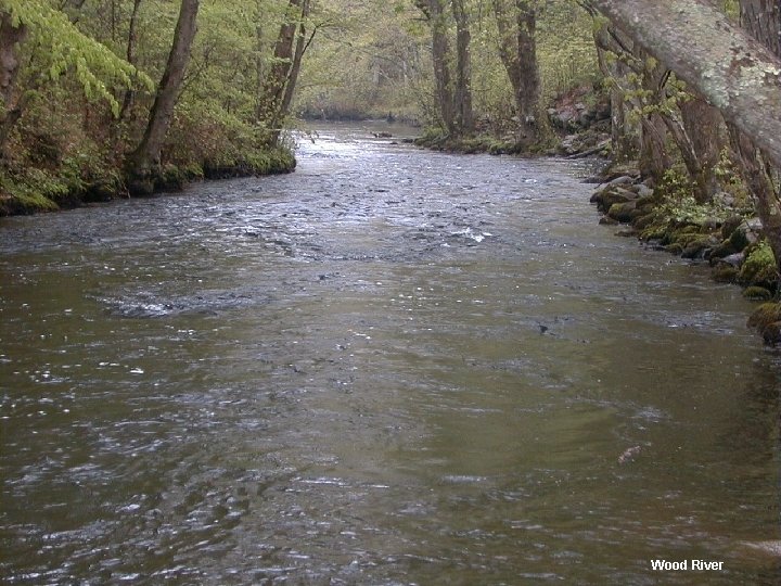 Wood River 