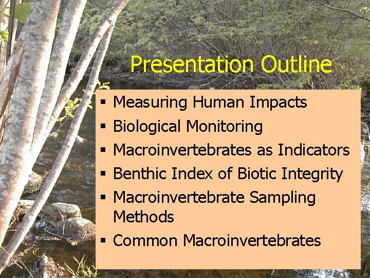 Presentation Outline Measuring Human Impacts Biological Monitoring Macroinvertebrates as Indicators Benthic Index of Biotic
