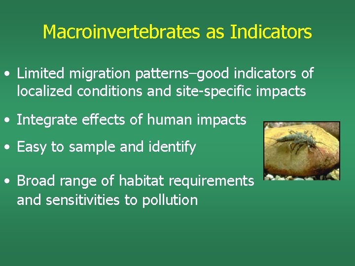 Macroinvertebrates as Indicators • Limited migration patterns–good indicators of localized conditions and site-specific impacts