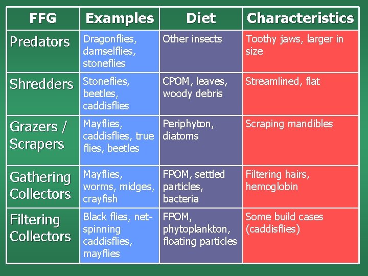 FFG Examples Diet Characteristics Predators Dragonflies, damselflies, stoneflies Other insects Toothy jaws, larger in