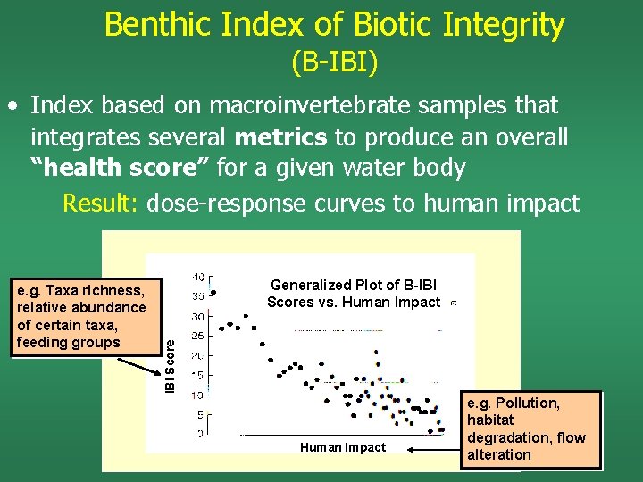 Benthic Index of Biotic Integrity (B-IBI) • Index based on macroinvertebrate samples that integrates