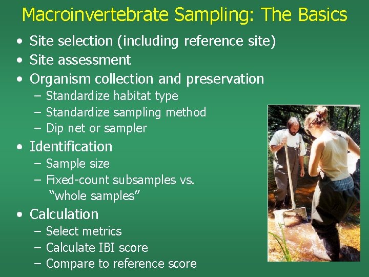 Macroinvertebrate Sampling: The Basics • Site selection (including reference site) • Site assessment •
