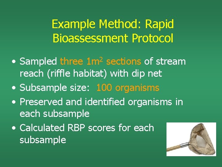 Example Method: Rapid Bioassessment Protocol • Sampled three 1 m 2 sections of stream