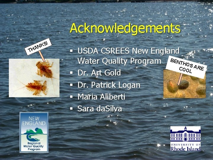 Acknowledgements TH ! KS N A § USDA CSREES New England Water Quality Program