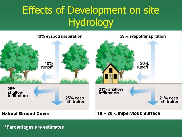 Effects of Development on site Hydrology 40% evapotranspiration 38% evapotranspiration 10% runoff 25% shallow