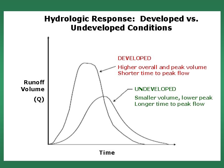 Hydrologic Response: Developed vs. Undeveloped Conditions DEVELOPED Runoff Volume Higher overall and peak volume