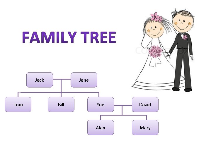 Jack Tom Jane Bill Sue David Alan Mary 