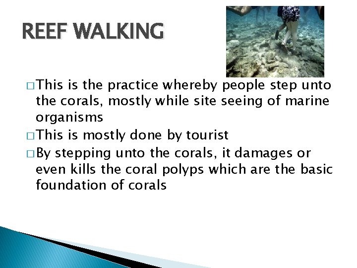 REEF WALKING � This is the practice whereby people step unto the corals, mostly