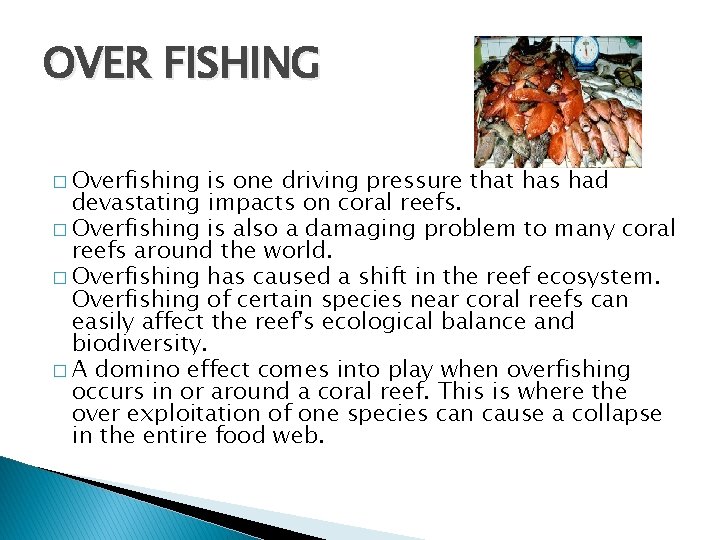 OVER FISHING � Overfishing is one driving pressure that has had devastating impacts on