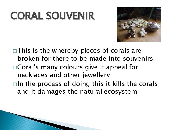 CORAL SOUVENIR � This is the whereby pieces of corals are broken for there