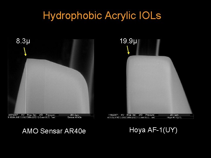 Hydrophobic Acrylic IOLs 8. 3µ AMO Sensar AR 40 e 19. 9µ Hoya AF-1(UY)