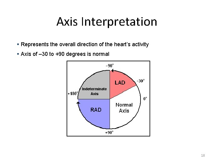 Axis Interpretation § Represents the overall direction of the heart’s activity § Axis of