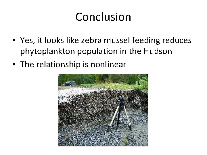 Conclusion • Yes, it looks like zebra mussel feeding reduces phytoplankton population in the