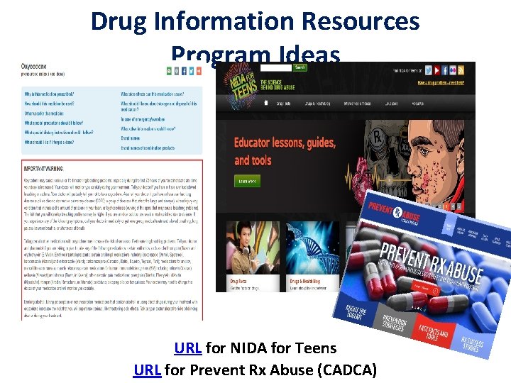 Drug Information Resources Program Ideas URL for NIDA for Teens URL for Prevent Rx