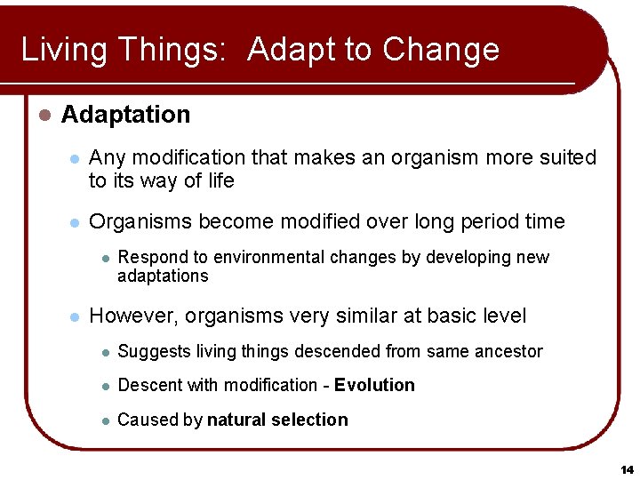 Living Things: Adapt to Change l Adaptation l Any modification that makes an organism