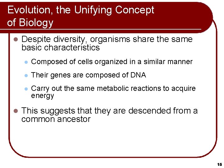 Evolution, the Unifying Concept of Biology l l Despite diversity, organisms share the same