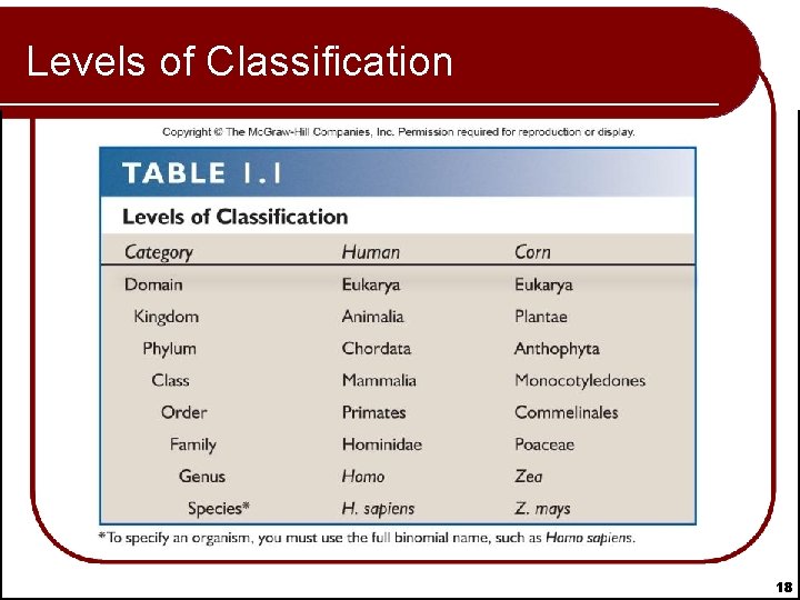 Levels of Classification 18 