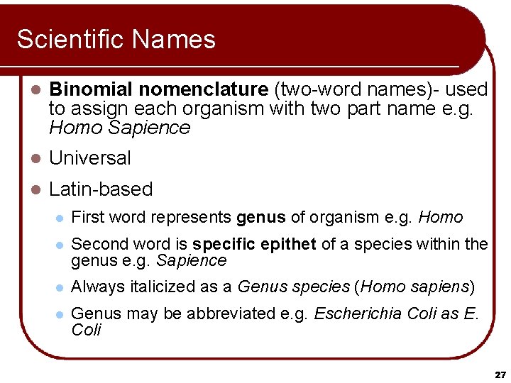 Scientific Names l Binomial nomenclature (two-word names)- used to assign each organism with two