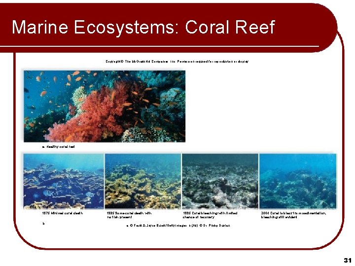 Marine Ecosystems: Coral Reef Copyright © The Mc. Graw-Hill Companies, Inc. Permission required for