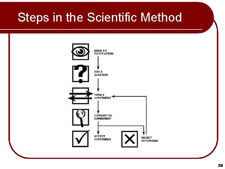 Steps in the Scientific Method 36 