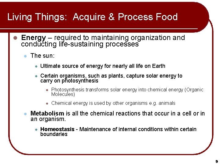 Living Things: Acquire & Process Food l Energy – required to maintaining organization and