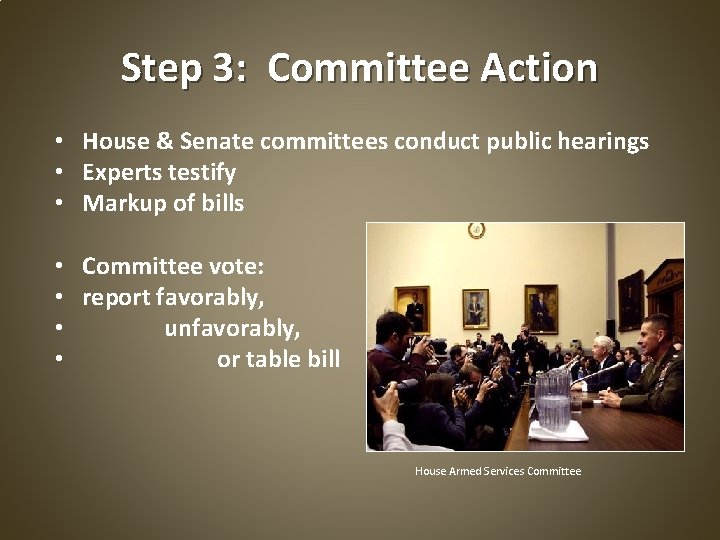 Step 3: Committee Action • House & Senate committees conduct public hearings • Experts