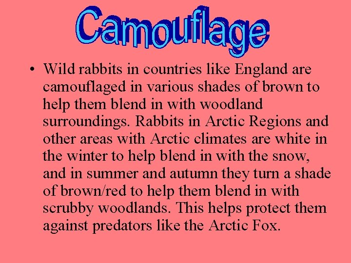  • Wild rabbits in countries like England are camouflaged in various shades of