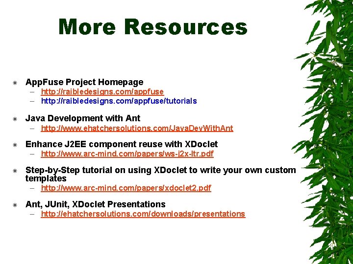 More Resources App. Fuse Project Homepage – http: //raibledesigns. com/appfuse/tutorials Java Development with Ant