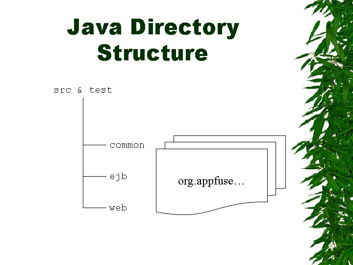 Java Directory Structure src & test common ejb web org. appfuse… 