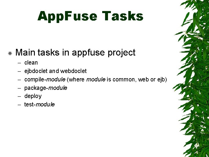 App. Fuse Tasks Main tasks in appfuse project – – – clean ejbdoclet and
