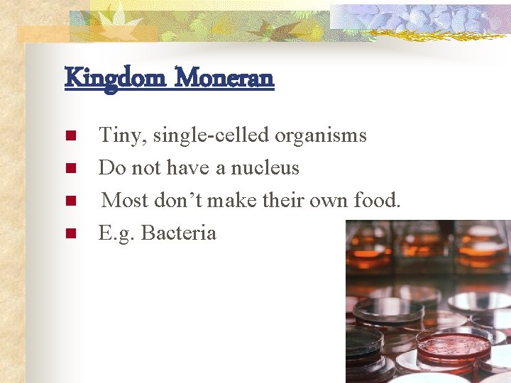 Kingdom Moneran n n Tiny, single-celled organisms Do not have a nucleus Most don’t