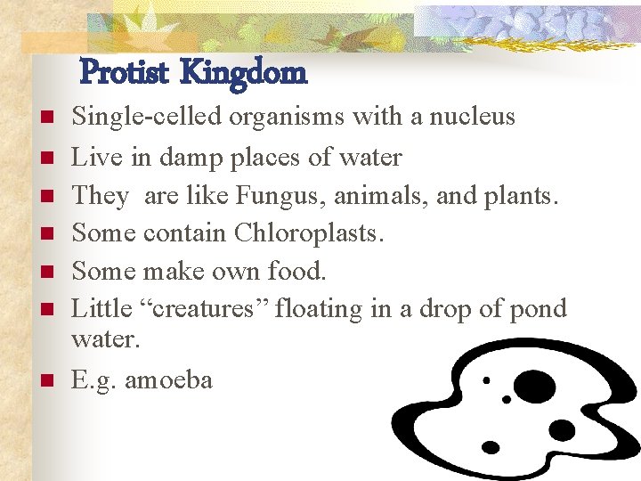 n n n n Protist Kingdom Single-celled organisms with a nucleus Live in damp