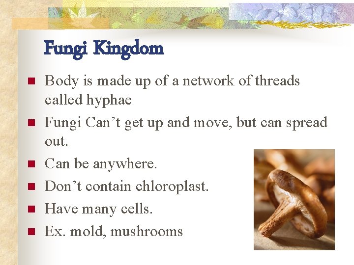 Fungi Kingdom n n n Body is made up of a network of threads