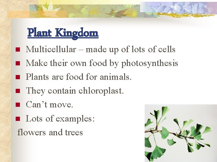 Plant Kingdom Multicellular – made up of lots of cells n Make their own