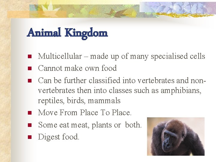 Animal Kingdom n n n Multicellular – made up of many specialised cells Cannot